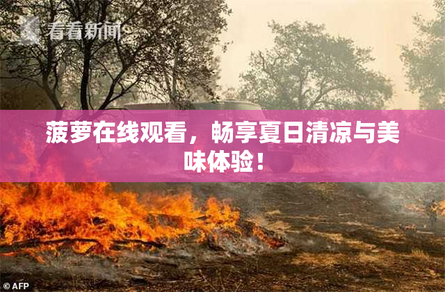 菠萝在线观看，畅享夏日清凉与美味体验！