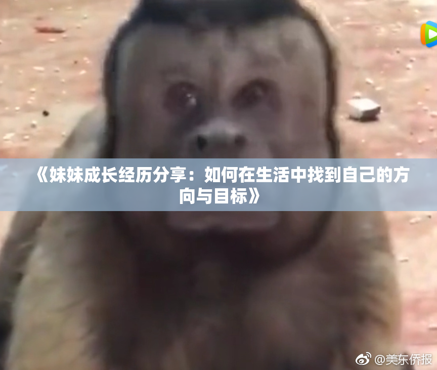 《妹妹成长经历分享：如何在生活中找到自己的方向与目标》