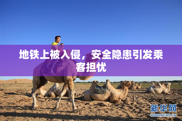 地铁上被入侵，安全隐患引发乘客担忧