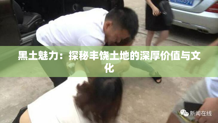 黑土魅力：探秘丰饶土地的深厚价值与文化