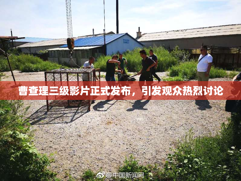曹查理三级影片正式发布，引发观众热烈讨论