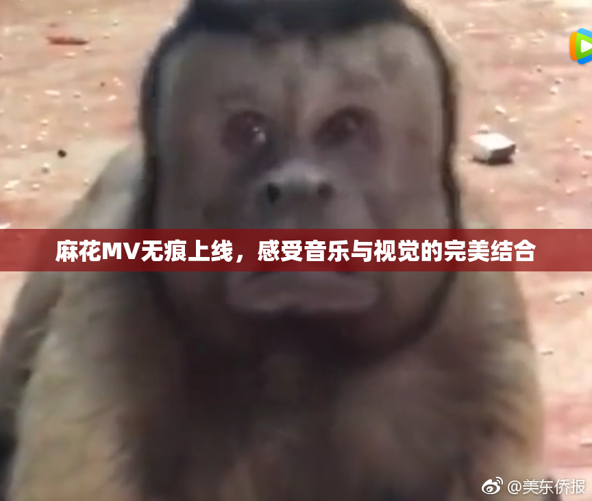 麻花MV无痕上线，感受音乐与视觉的完美结合