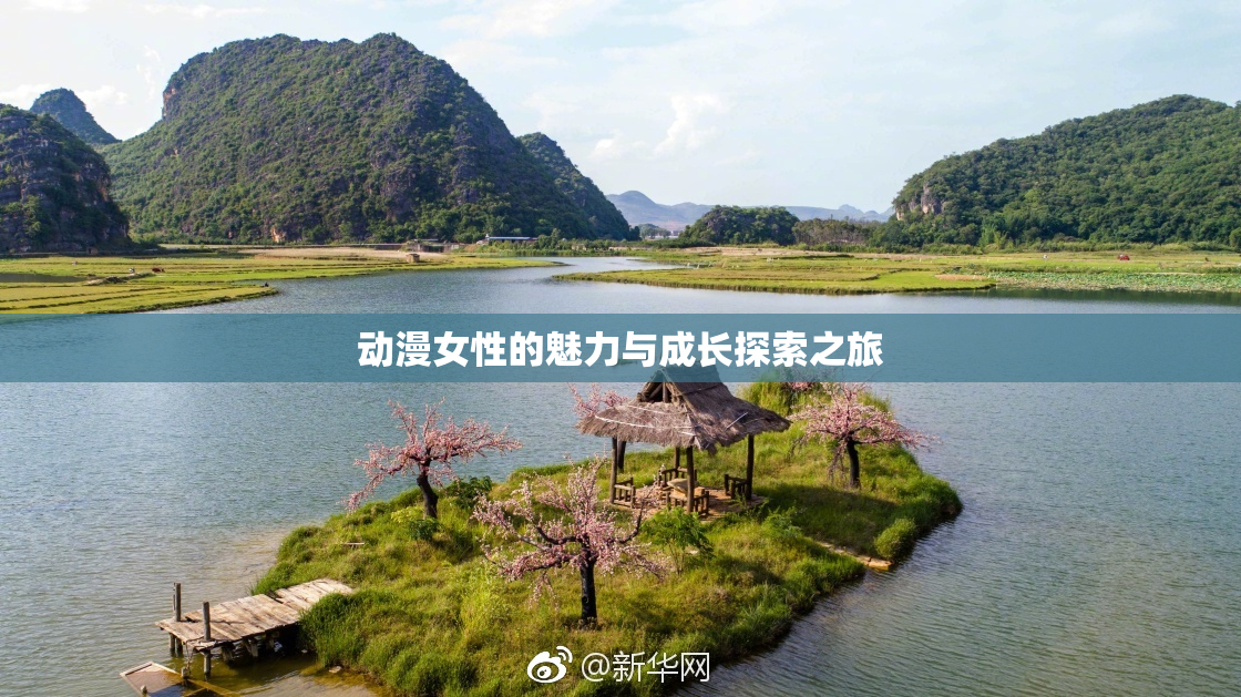 动漫女性的魅力与成长探索之旅