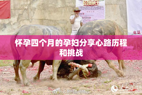 怀孕四个月的孕妇分享心路历程和挑战