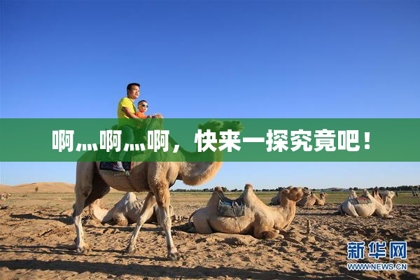 啊灬啊灬啊，快来一探究竟吧！