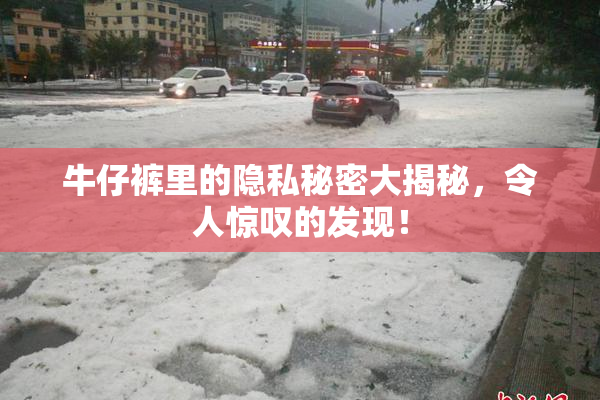 牛仔裤里的隐私秘密大揭秘，令人惊叹的发现！