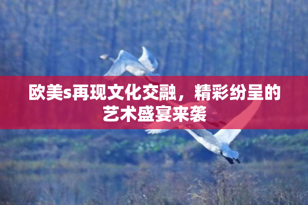 欧美s再现文化交融，精彩纷呈的艺术盛宴来袭