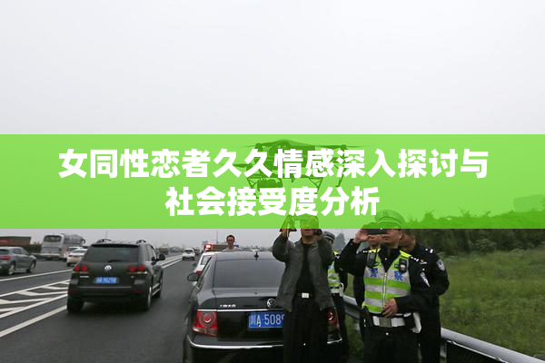 女同性恋者久久情感深入探讨与社会接受度分析