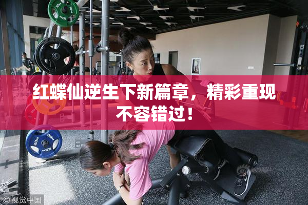 红蝶仙逆生下新篇章，精彩重现不容错过！
