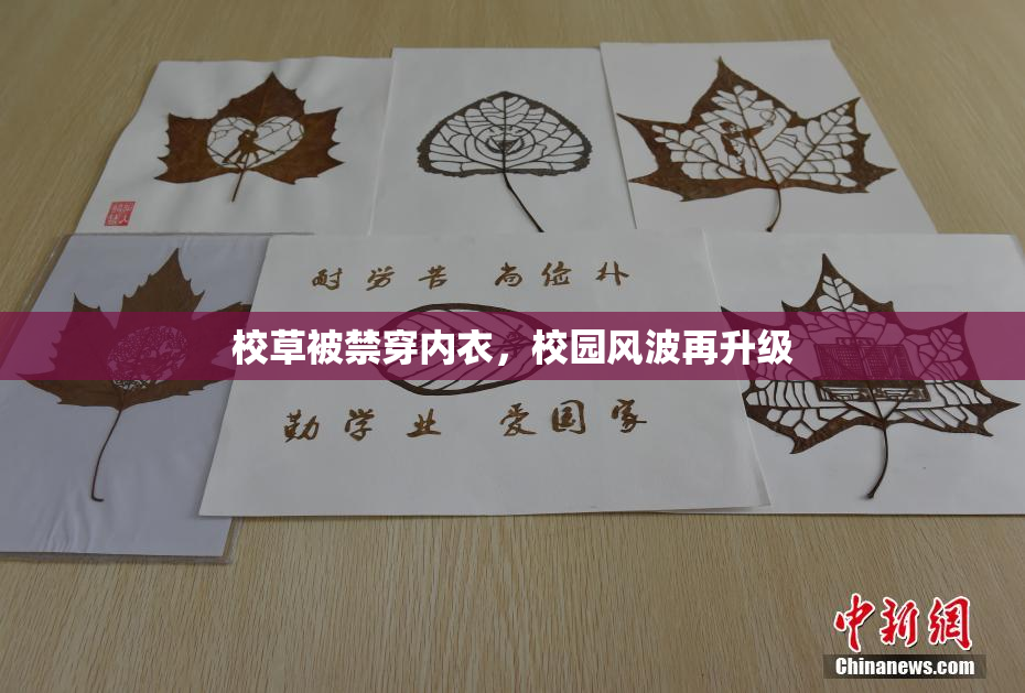 校草被禁穿内衣，校园风波再升级