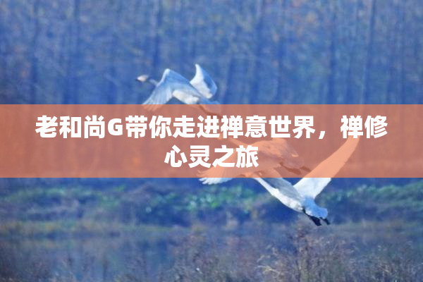 老和尚G带你走进禅意世界，禅修心灵之旅