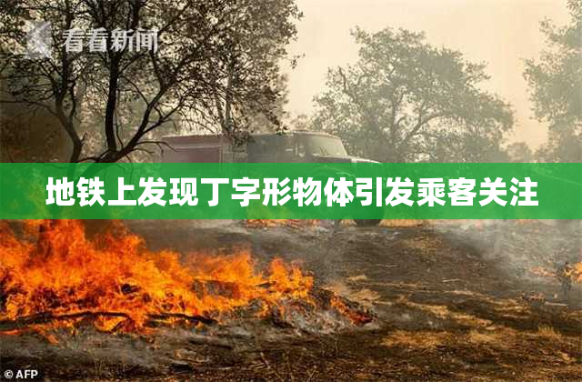 地铁上发现丁字形物体引发乘客关注