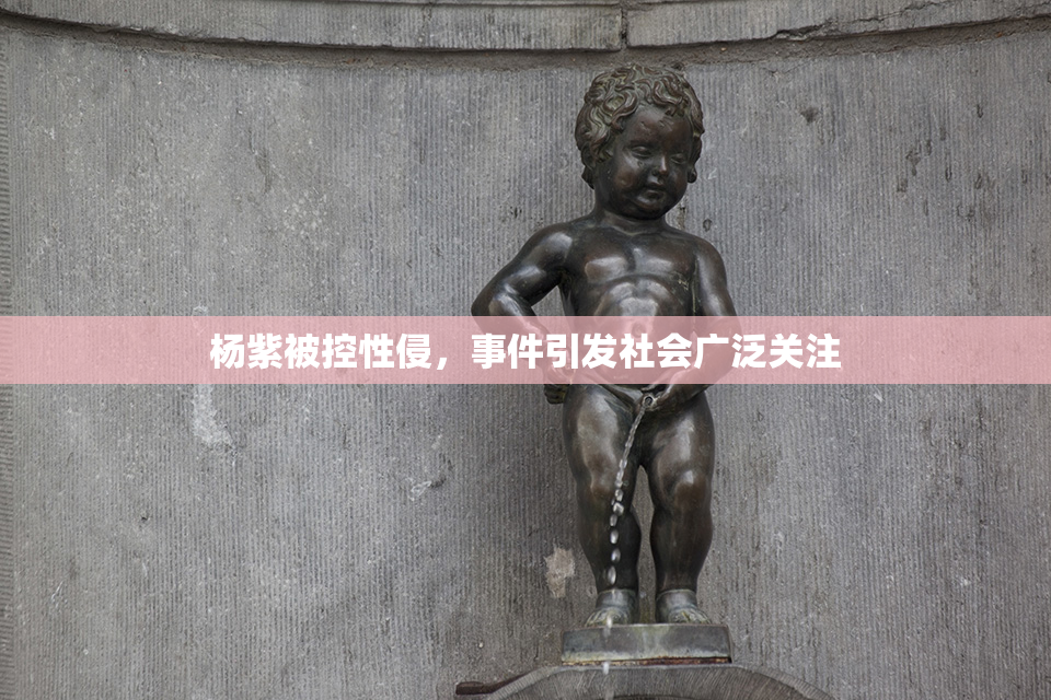 杨紫被控性侵，事件引发社会广泛关注