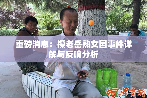 重磅消息：搡老岳熟女国事件详解与反响分析
