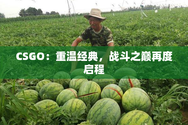CSGO：重温经典，战斗之巅再度启程