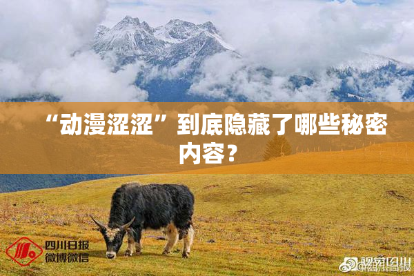 “动漫涩涩”到底隐藏了哪些秘密内容？