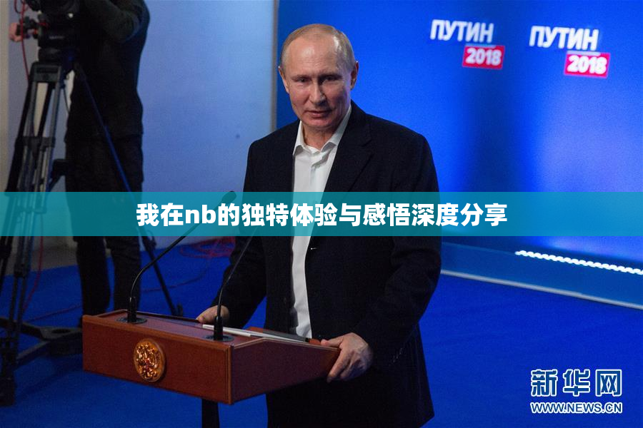 我在nb的独特体验与感悟深度分享