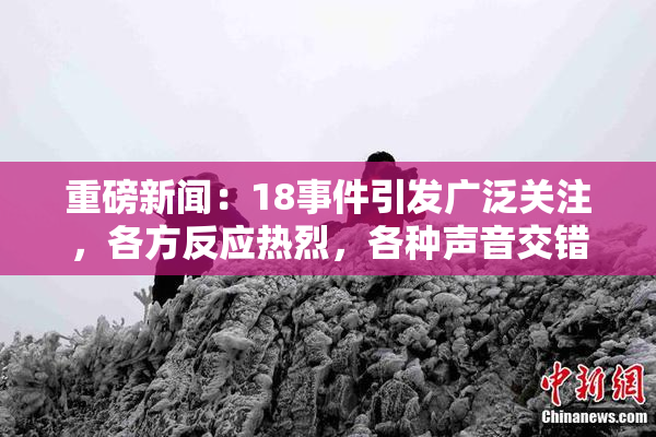 重磅新闻：18事件引发广泛关注，各方反应热烈，各种声音交错。