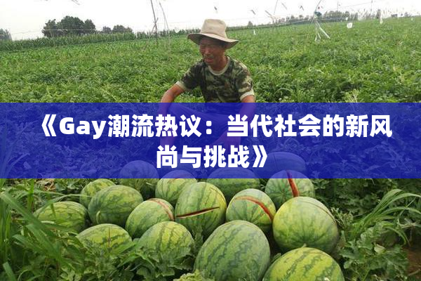 《Gay潮流热议：当代社会的新风尚与挑战》