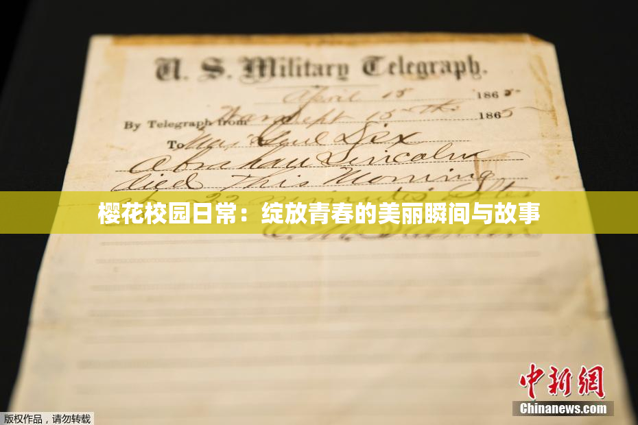 樱花校园日常：绽放青春的美丽瞬间与故事