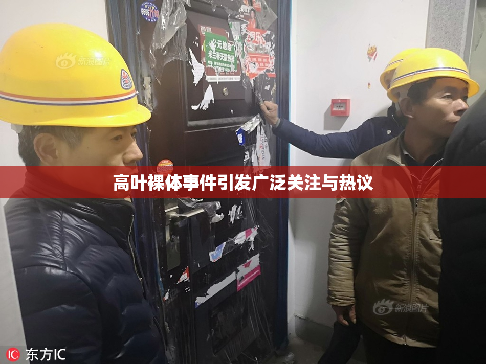 高叶裸体事件引发广泛关注与热议
