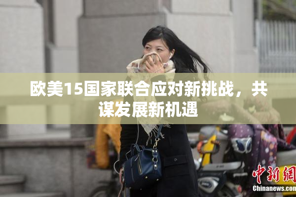 欧美15国家联合应对新挑战，共谋发展新机遇