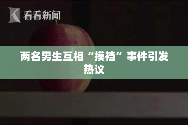 两名男生互相“摸裆”事件引发热议