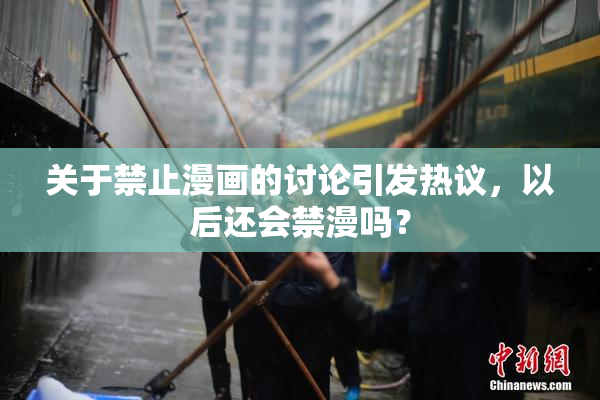 关于禁止漫画的讨论引发热议，以后还会禁漫吗？
