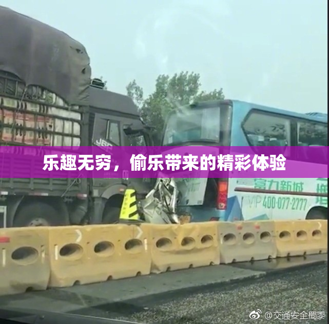 乐趣无穷，偷乐带来的精彩体验