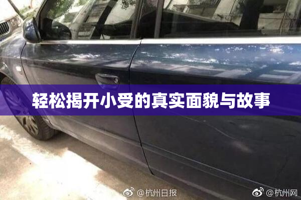 轻松揭开小受的真实面貌与故事
