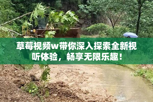 草莓视频w带你深入探索全新视听体验，畅享无限乐趣！