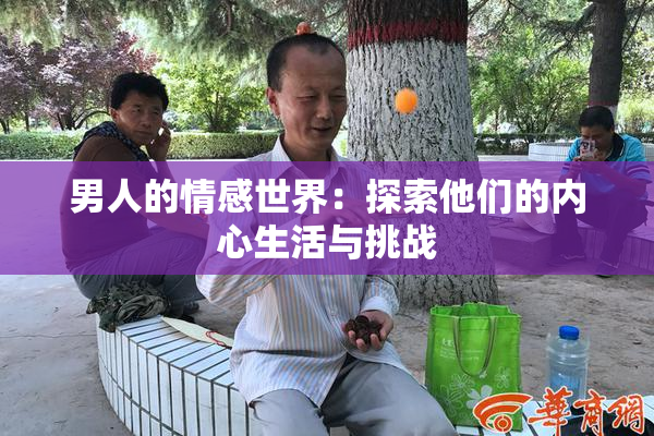 男人的情感世界：探索他们的内心生活与挑战