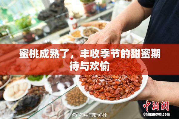 蜜桃成熟了，丰收季节的甜蜜期待与欢愉