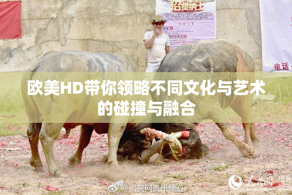 欧美HD带你领略不同文化与艺术的碰撞与融合