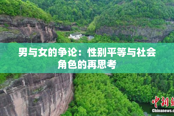 男与女的争论：性别平等与社会角色的再思考