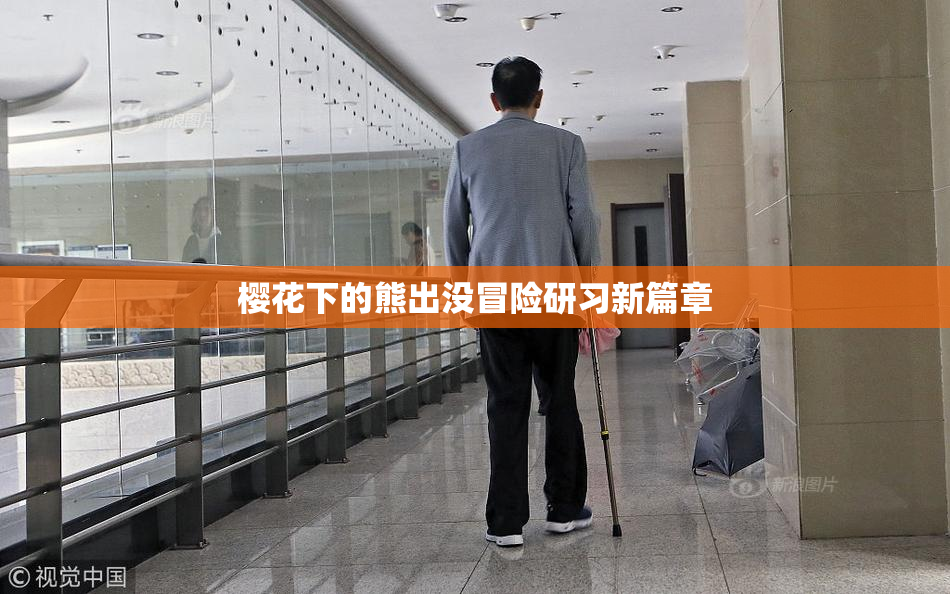 樱花下的熊出没冒险研习新篇章