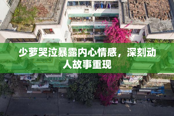 少萝哭泣暴露内心情感，深刻动人故事重现