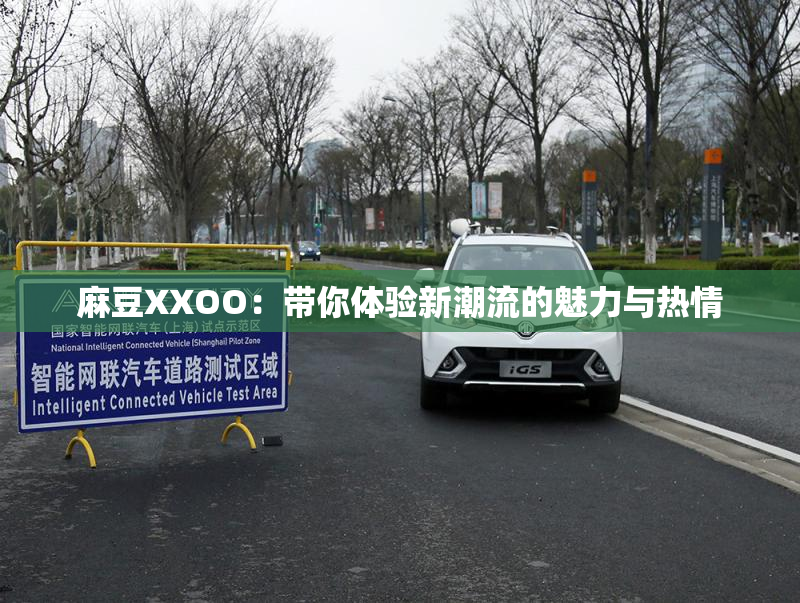 麻豆XXOO：带你体验新潮流的魅力与热情