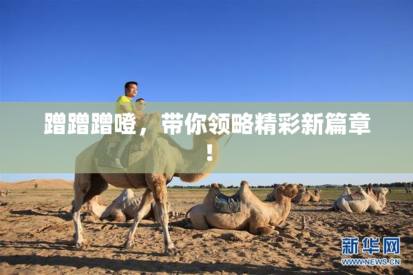 蹭蹭蹭噔，带你领略精彩新篇章！