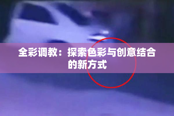 全彩调教：探索色彩与创意结合的新方式