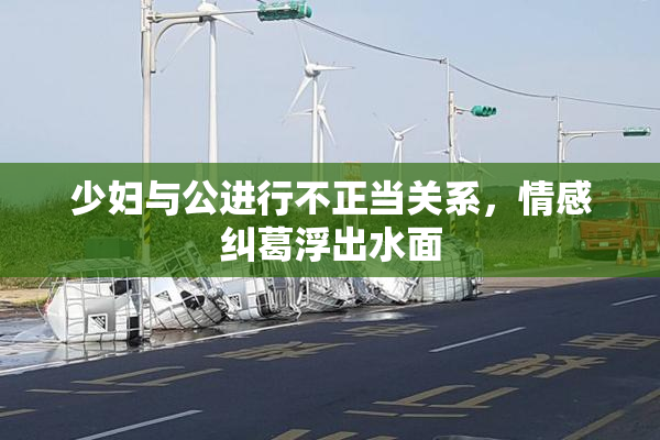少妇与公进行不正当关系，情感纠葛浮出水面
