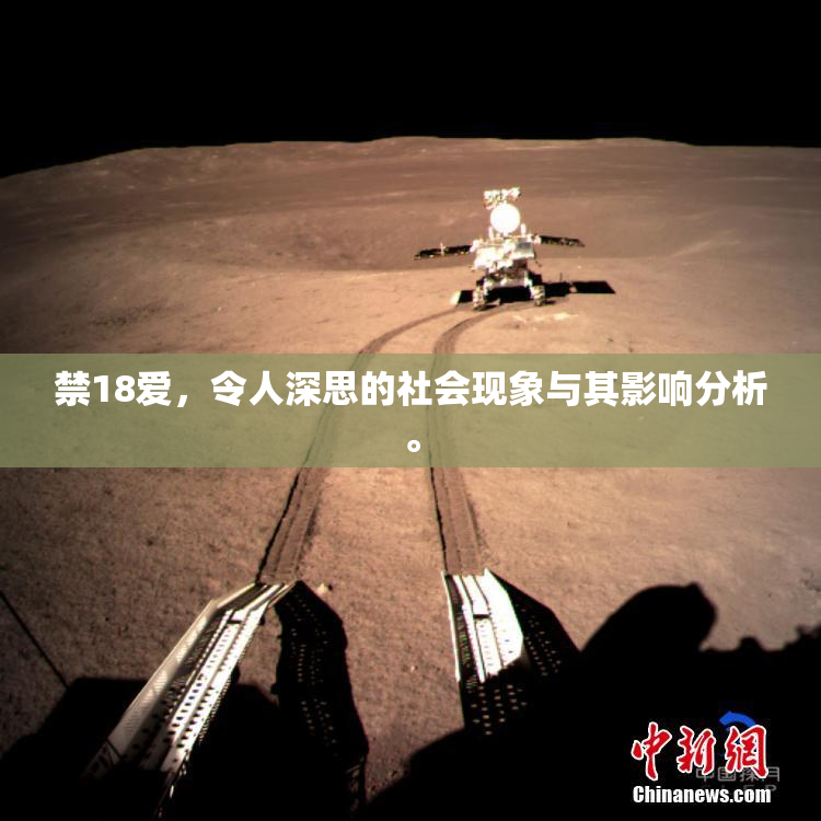 禁18爱，令人深思的社会现象与其影响分析。
