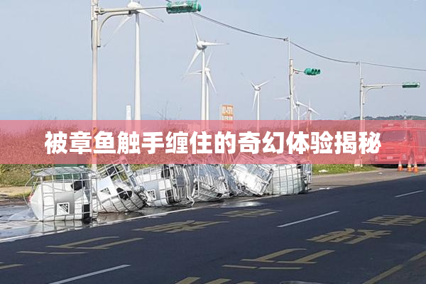 被章鱼触手缠住的奇幻体验揭秘