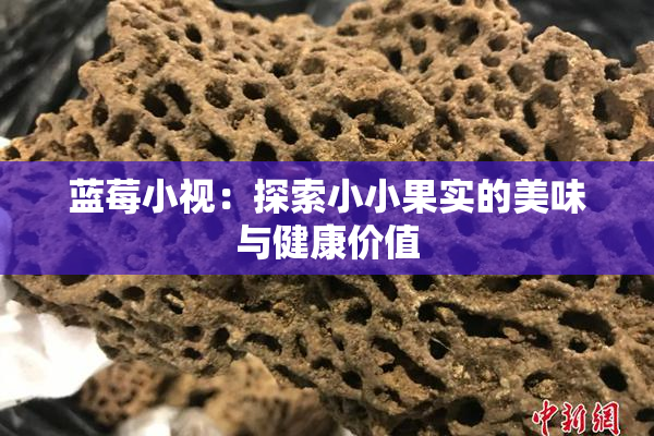 蓝莓小视：探索小小果实的美味与健康价值