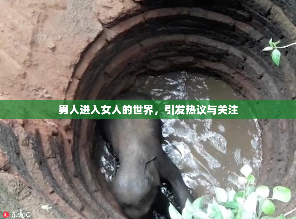男人进入女人的世界，引发热议与关注