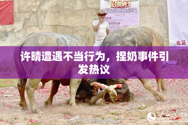 许晴遭遇不当行为，捏奶事件引发热议