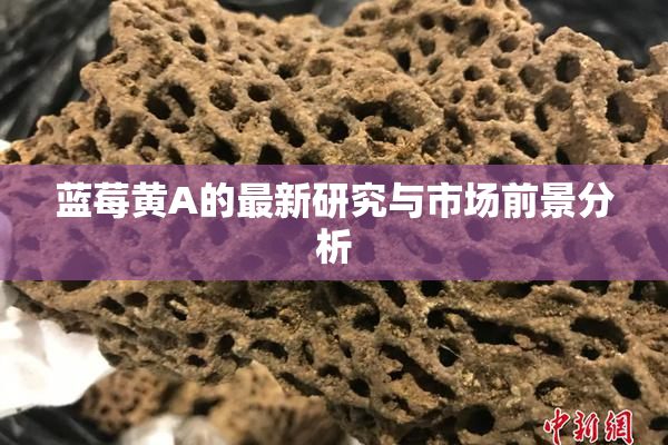 蓝莓黄A的最新研究与市场前景分析