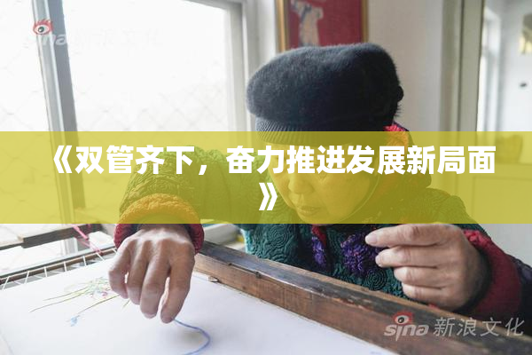 《双管齐下，奋力推进发展新局面》
