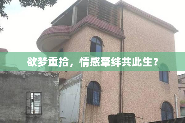 欲梦重拾，情感牵绊共此生？