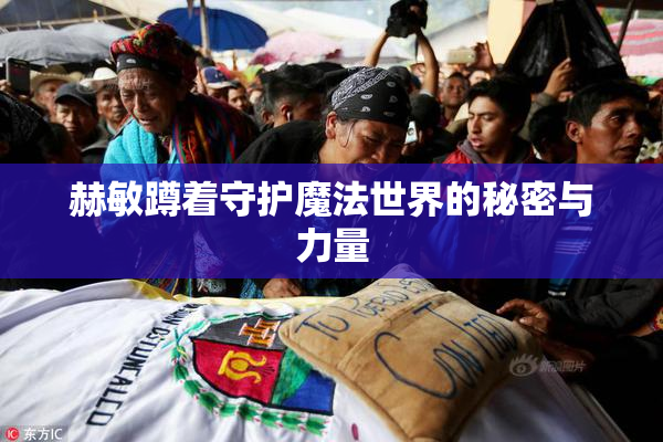 赫敏蹲着守护魔法世界的秘密与力量